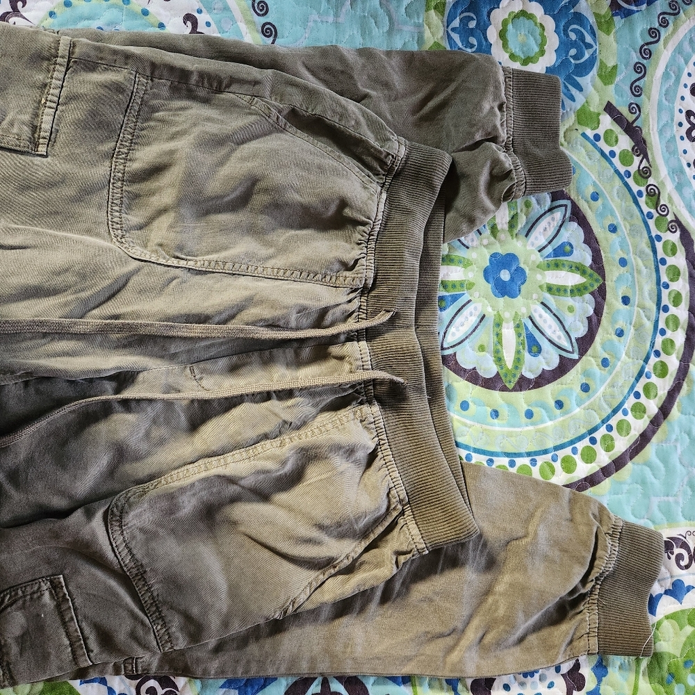 American Eagle Casual Olive Cargo Pants - Picture 3 of 8